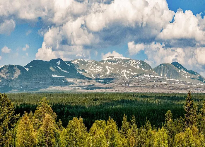Lovely In With Wifi Rendalen